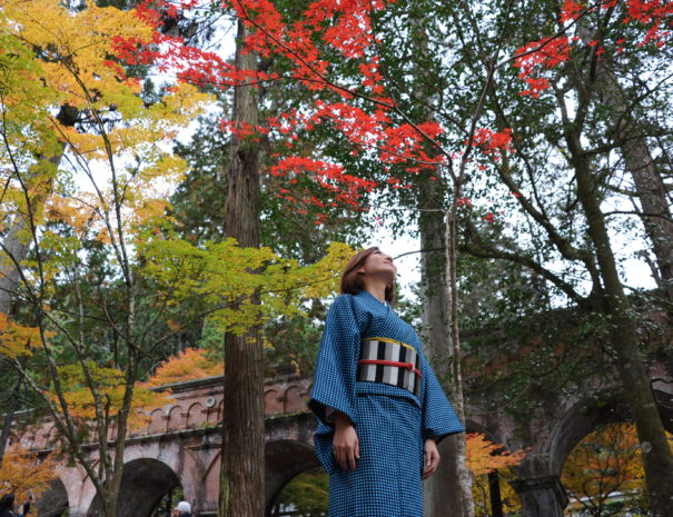 UME SAKURA Kimono Rental Kyoto