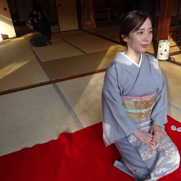 お洒落訪問着レンタル