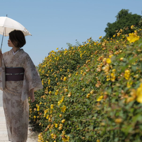 京都の夏の着物レンタル